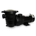 Rx Clear Extreme Force Above-ground Swimming Pool Pump - Â¾ HP