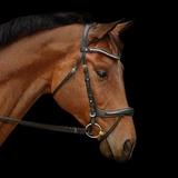 Nantucket Ergonomic Dressage Bridle by SmartPak - Cob - Black - Smartpak