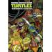 Teenage Mutant Ninja Turtles: New Animated Adventures: Volume 1