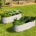 Olle Metal Galvanized Raised Garden Bed Metal in White | 31.5 H x 31.5 W x 63 D in | Wayfair TF41IVORY