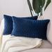 Everly Quinn Velvet Lumbar Rectangular Pillow Cover Velvet in Blue | 12 H x 20 W x 2 D in | Wayfair 799A8AB3C80C4391AD80A5036D7A8115