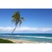 Highland Dunes Truly Palm Beach by Manakin - Wrapped Canvas Photograph Canvas | 12 H x 18 W x 1.25 D in | Wayfair 6B42FA20F3AC4D67B3388929BDB5D406