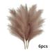 Xmarks 6pcs Dried Pampas Grass - 45cm/18in - Premium Natural Dried Pampas Grass for Home Decor A Great Decorative - Dried Grass for Boho Vase Fillers Or Bouquet Decorations