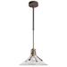 Henry 14.4" Coastal Dark Smoke Long Outdoor Pendant with Clear Glass