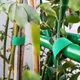 Bande de support en nylon pour plantes de jardin attaches pour plantes bande en forme de plante