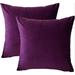 Everly Quinn Velvet Throw Square Pillow Cover Velvet in Indigo | 18 H x 18 W x 2 D in | Wayfair C90E674FDC4946948C62810D0CC86AFE