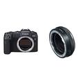 Canon EOS RP Vollformat Systemkamera Gehäuse (spiegellos, 26,2 MP, 7,5cm (3 Zoll) Clear View LCD II Display, Digic 8), schwarz & Bajonettadapter EF-EOS R mit Objektiv-Steuerring CR-EF-EOSR Schwarz
