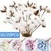 10PCS Cotton Stems Fake Cotton Flowers Dried Cotton Picks Stalks Plants Artificial Cotton Floral Stems Faux Farmhouse Decorations for Vase Home Decor