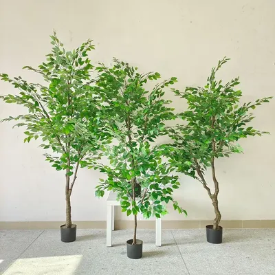 Plante Banyan artificielle en plastique plante de Simulation de bonsaï plante en pot pour
