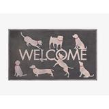 A1HC Rubber Pin 18” X 30” for Outdoor Entrance, Fun Designed Floor, Welcome Mats for Front Door Indoor Non-Slip Backing