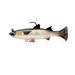 Savage Gear Pulse Tail Mullet RTF Swimbait Fishing Bait