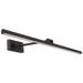 Reed 3"H x 42"W 1-Light Picture Light in Black