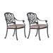 Outdoor Patio Dining Chairs Set of 2 Cast Aluminum Bistro Arm Chairs with Cushion for Garden Backyard Porch Balcony Poolside Spectrum Sand
