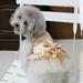 Pet Dog Lace Dress Wedding Dresses Gold Skirt Birthday Party Costume XS-XL