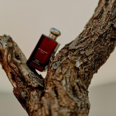 Jo Malone London Cologne Intense Myrrh & Tonka Eau de 100 ml unisex Image