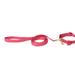 Red Gingham Dog Leash & Collar Set, Small