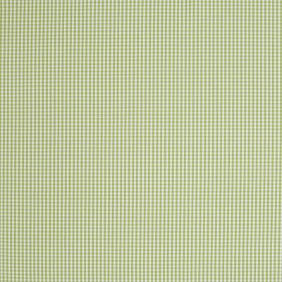 Tillie Gingham Kiwi InsideOut Fabric by the Yard - Ballard Designs