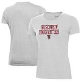 Women's Under Armour Gray Wisconsin Timber Rattlers Performance T-Shirt