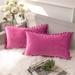 Everly Quinn Randah Velvet Pillow Cover Velvet in Pink | 12 H x 20 W x 2 D in | Wayfair FB59A96374A0469E8F662982AD470F6A