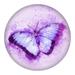 August Grove® Purple Butterfly - Unframed Painting on Metal in Blue/Indigo | 12 H x 12 W x 0.5 D in | Wayfair 9FD46779DBE1400A9D4838D719A351D0