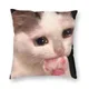 Housse de coussin de Style nordique taie d'oreiller chat en pleurs dessin animé carré