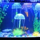Figurine de poisson à effet lumineux 1 pièce décoration d'aquarium méduses artificielles vente
