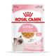 48x85g Kitten en gelée Royal Canin - Pâtée pour chat