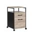 Rolling File Cabinet, Office Cabinet on Wheels, with 2 Drawers, Open Shelf, for A4, Letter Size, Hanging File Folders