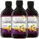 Bio-Fermented Turmeric (3-Pack) with Bio Cultures & Digestive Enzymes - Fermented High Strength Liquid Turmeric Supplement with Black Pepper & Ginger Equivalent to 2 Turmeric Capsules - 3 Pack