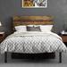 Steelside™ Paloma Wood & Metal Bed Frame w/ Headboard Metal | Full/Double | Wayfair 8E57ABA01C7A4A9CA7F154FDCC9B1A55