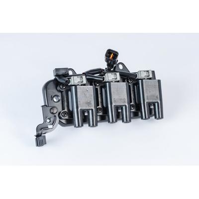 BorgWarner (BERU) Zündspule 12V für HYUNDAI KIA 2730137150 ZS555