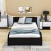 Ivy Bronx Califano Faux Leather Platform Bed w/ LED Light Wood & /Upholstered/Metal & /Metal/Faux leather in Black | 29 H x 56 W x 86 D in | Wayfair