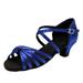 JDEFEG Womens Shoes Tan Heels Women s Fashionable Soft Sole Comfortable Non Slip Latin Dance Shoes Womens Dress Boot Tennis Shoes Womens Blue 40