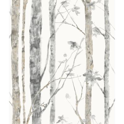 Peel And Stick Wallpaper by RoomMates in Birch Trees