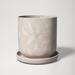 AllModern Catarine Ceramic Pot Planter Ceramic in White | 5.5 H x 5.75 W x 5.75 D in | Wayfair 2BBA4513103243F081B48AC504C8A4D0