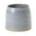 17 Stories Ceramic Pot Planter Ceramic | 5 H x 5.75 W x 5.75 D in | Wayfair 1F4347A08087416993E9589741892818