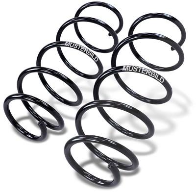 Bestprice 2x Fahrwerksfeder Hinterachse [Hersteller-Nr. 10660610] für Mercedes-Benz Image