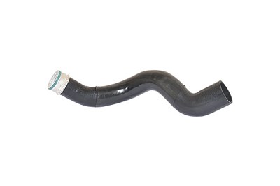 Bugiad Ladeluftschlauch [Hersteller-Nr. 86601] für Audi Image
