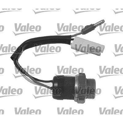 Valeo Temperaturschalter, Kühlerlüfter [Hersteller-Nr. 819828] für Citroën, Fiat, Peugeot Image