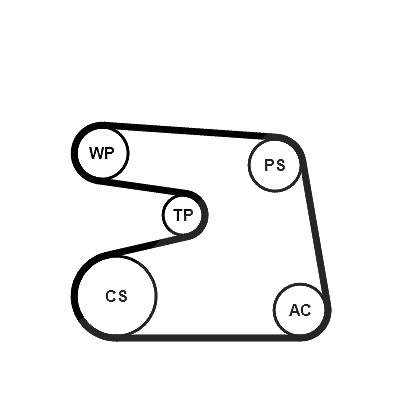 Continental Ctam Wasserpumpe + Keilrippenriemensatz [Hersteller-Nr. 6PK1873WP2] für Mercedes-Benz Image