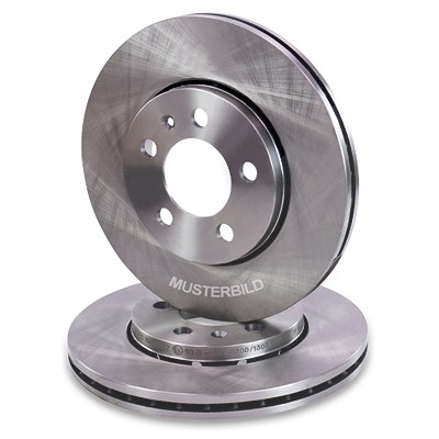 Atec 2x Bremsscheibe Hinterachse Belüftet [Hersteller-Nr. 40576432] für Audi Image