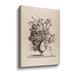 Winston Porter Vintage Urn in Sepia - Print on Canvas in Black | 18 H x 14 W x 2 D in | Wayfair A85C1541848A412EBAB93A1E716321C9