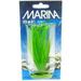 Marina Hairgrass Plant 5 Tall [ PACK OF 2 ]