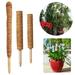 UDIYO Moss Pole for Plants Monstera Moss Stick Fusisi Plant Pole for Climbing Plants Totem Pole - Plant Support for Indoor Potted Plants Train Creeper Plants Grow Upwards