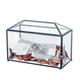 NCYP Large Wedding Glass Cards Box with Slot and Lock - 32x15x23 CM - Black Clear Geometric Glass Terrarium Box for Birthdays Party Receptions, Keepsake, Wishing Well (Glass Box Only)