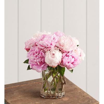1-800-Flowers Everyday Gift Delivery Precious Peony Bouquet 10 Stems W/ Wicker Vase
