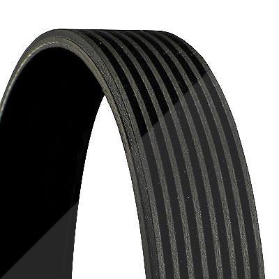 Continental Ctam Keilrippenriemen [Hersteller-Nr. 8PK1940] für Mercedes-Benz Image
