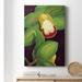 Red Barrel Studio® Lime Orchid II - Wrapped Canvas Graphic Art Canvas, Solid Wood in Black/Green/Red | 18 H x 12 W x 1.5 D in | Wayfair