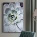 Dakota Fields Pastel Succulent Beauty IV - Wrapped Canvas Photograph Metal in Gray/Green | 48 H x 32 W x 1.5 D in | Wayfair