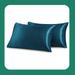Everly Quinn Nahely Pillowcase Microfiber/Polyester/Silk/Satin in Green/Blue | Wayfair 33DF92DE20CD40498EA92BF60556E0A3